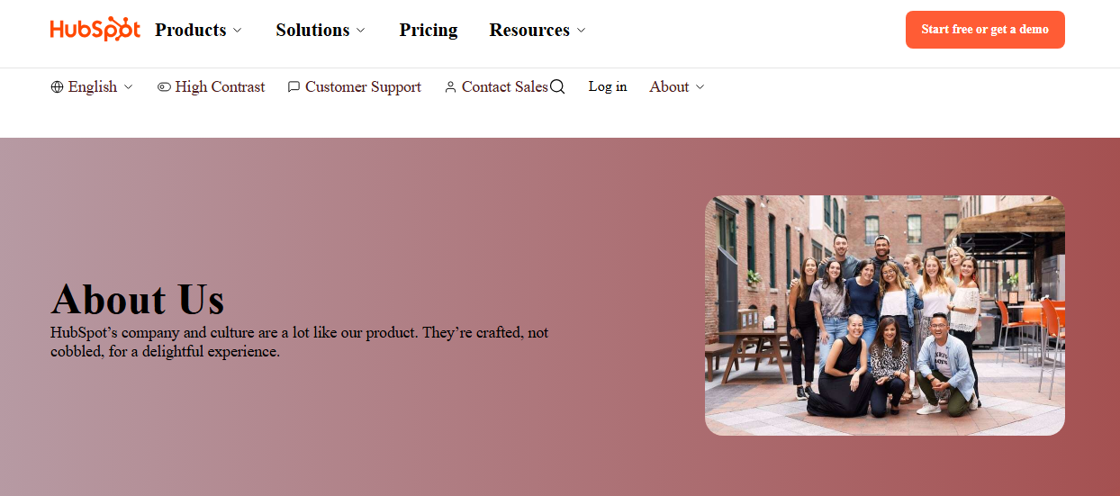 HubSpot Clone project preview